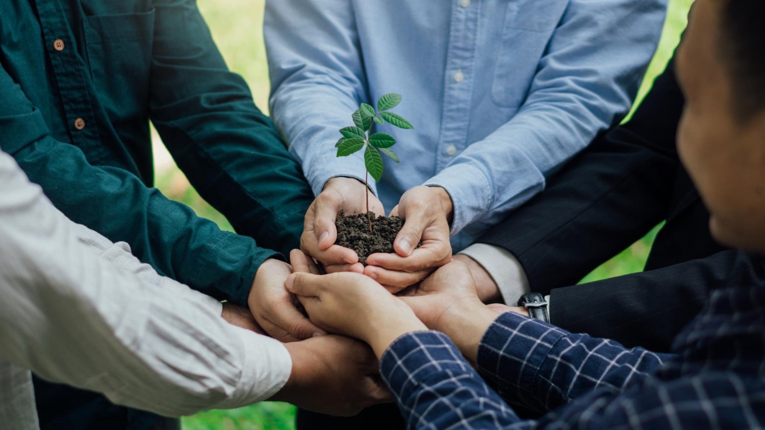 CSR & Community Campaigns — hands planting a sapling
